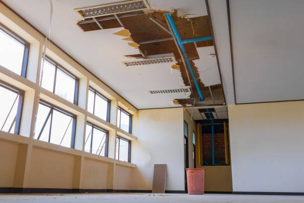 Best Local water damage restoration  in Summit, WA