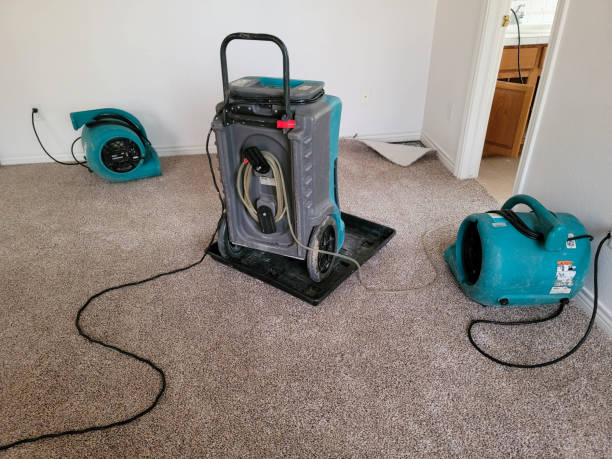 Best Emergency water damage restoration  in Summit, WA