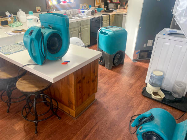Best Water damage mitigation services  in Summit, WA