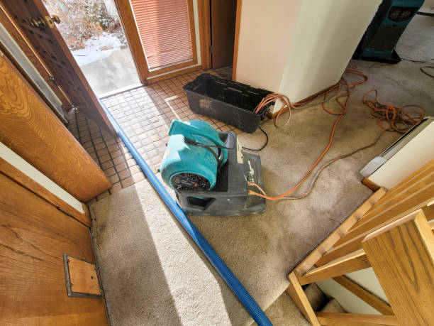  Summit, WA Water damage restoration Pros