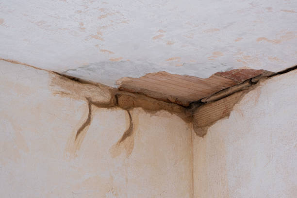 Best Residential water damage restoration  in Summit, WA