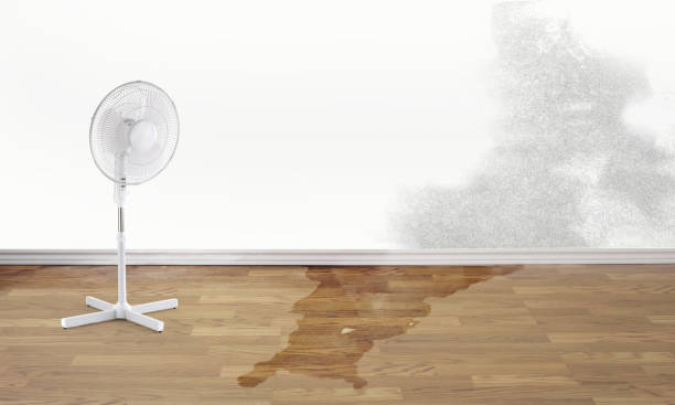 Best Sewage cleanup and water damage restoration  in Summit, WA