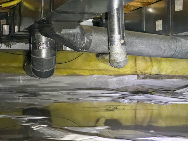 Best Basement water damage restoration  in Summit, WA