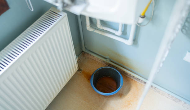 Carpet water damage restoration in WA