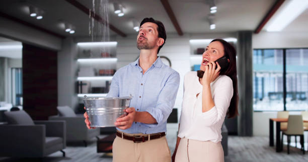 Best Water damage cleanup near me  in Summit, WA
